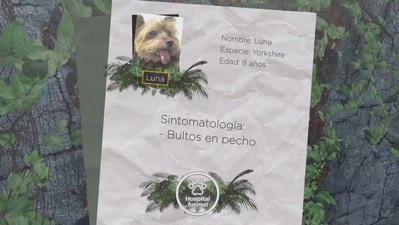 Hospital animal: Capítulo 8