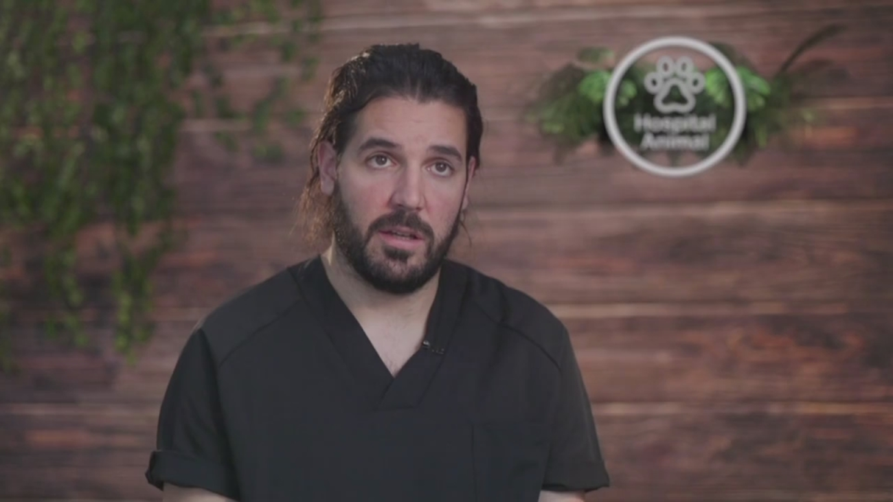 Hospital animal: Capítulo 7