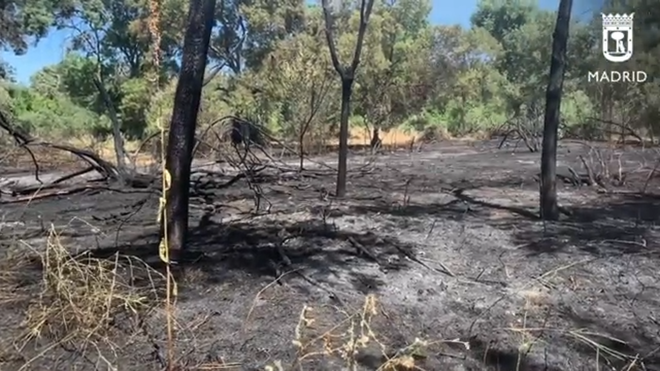 Segundo incendio en la Casa de Campo en menos de 48 horas