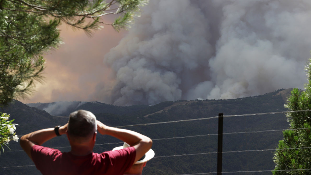 Incendio forestal de Pujerra
