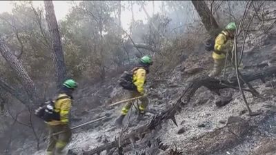 Los 2.000 evacuados  por el incendio de Pujerra (Málaga) pueden volver ya a sus casas