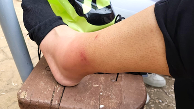 Los mosquitos se ceban con los vecinos de Torrejón de Ardoz