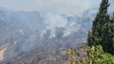 Extinguido el incendio de Torrox, en Málaga