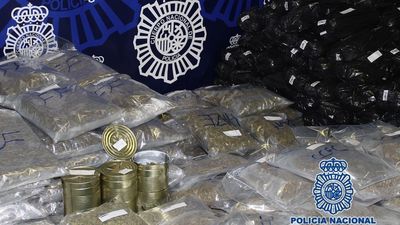 Desarticulada una red que ocultaba droga en latas de tomate y de aceitunas en una nave de Málaga