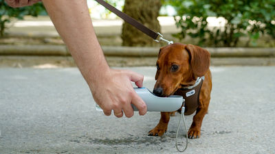 La ola de calor durará, al menos, hasta el jueves