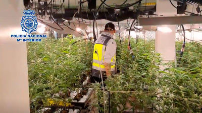 La Policía desmantela una plantación de marihuana y una granja de criptomonedas en dos chalets de lujo en Villalbilla