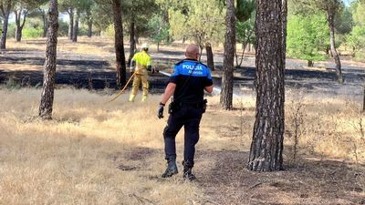 Bomberos sofocan un nuevo incendio en el pinar de Las Presillas, en Alcorcón