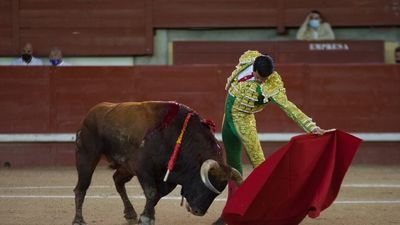 Arranca la encuesta sobre la financiación de los toros de Galapagar