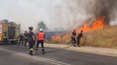 Sofocado sin heridos un importante incendio de pastos en el barrio de Tres Olivos