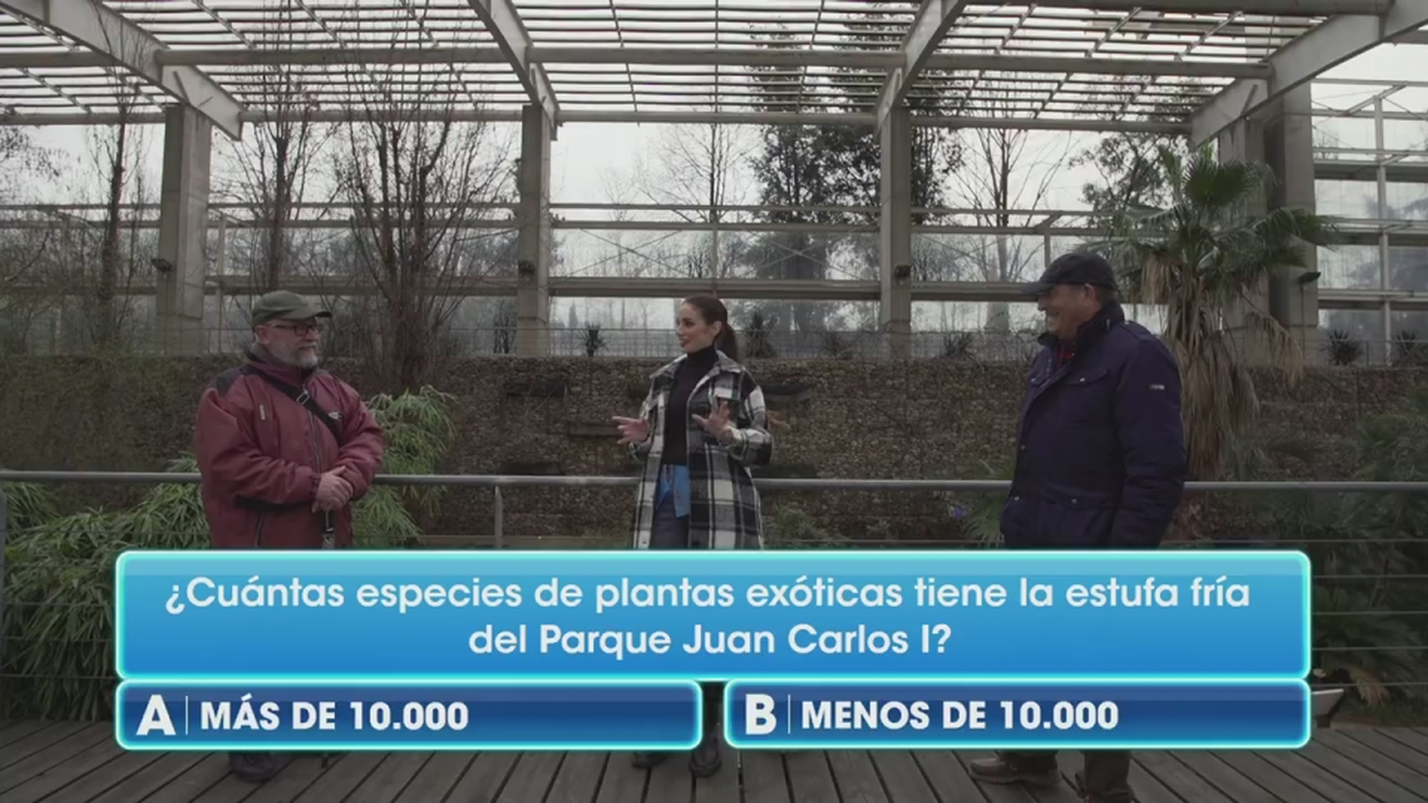 ¿Sabes qué es una estufa fría?