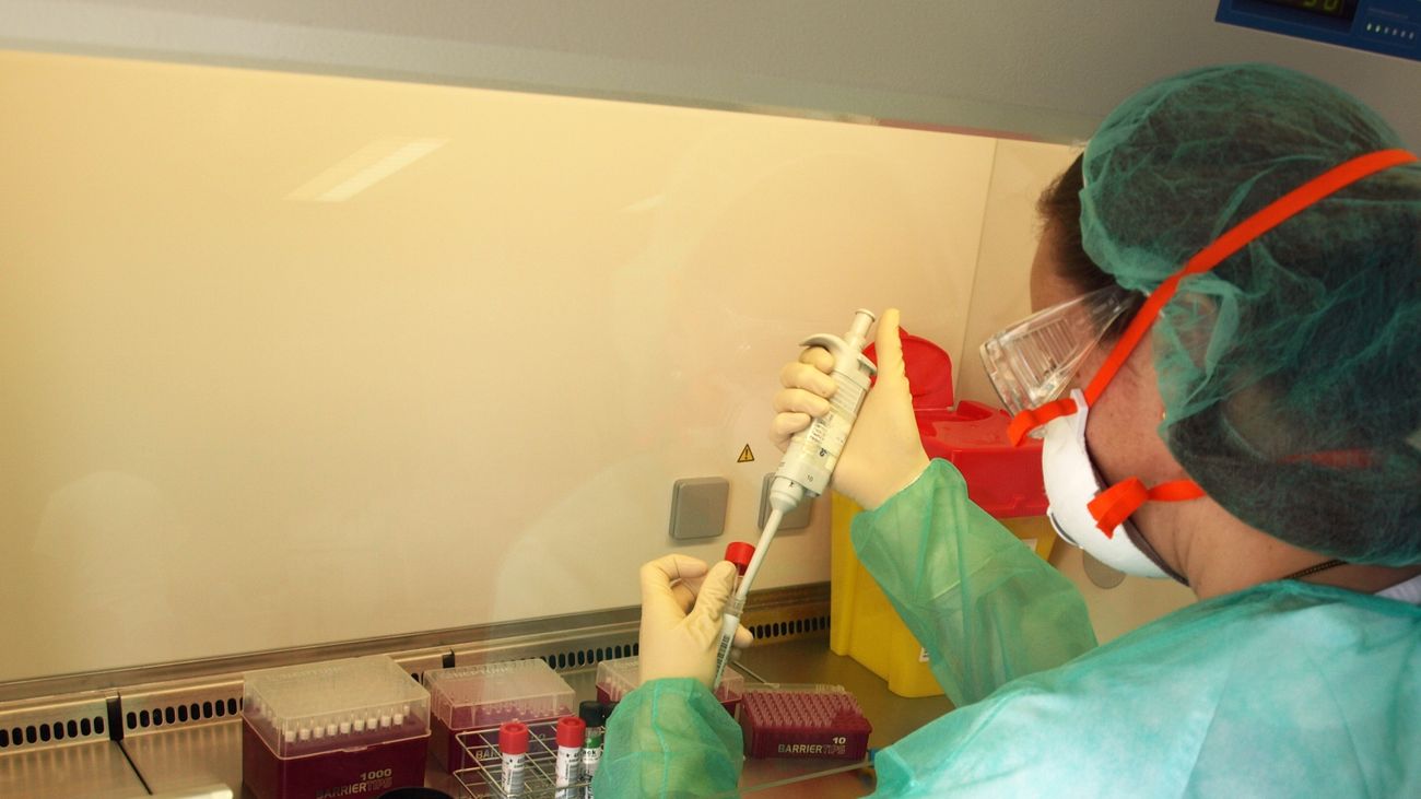 Una investigadora procesa muestras de sangre en una campana de seguridad
