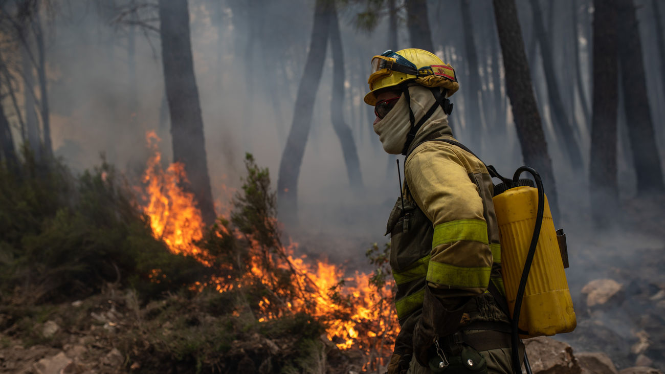Un bombero trabaja en la extinción del incendio en la Sierra Culebra , en Zamora
