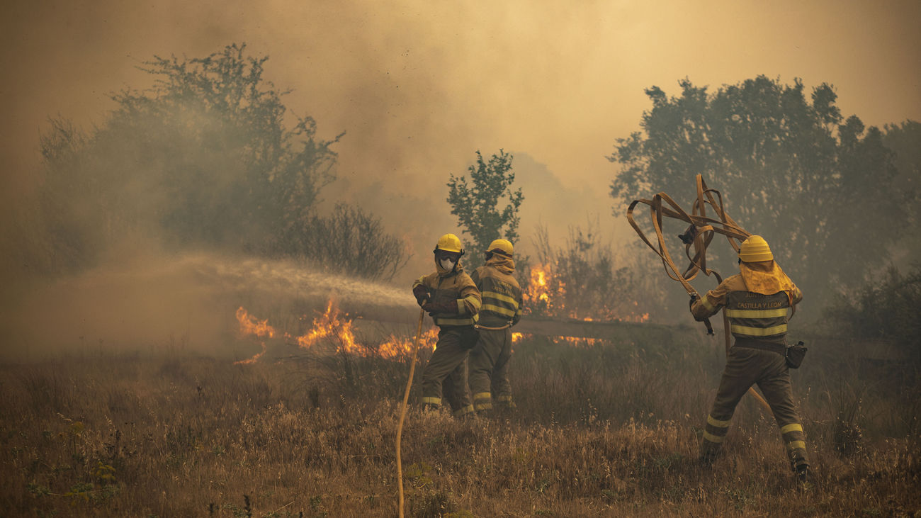 Efectivos de bomberos durante el incendio de la Sierra de la Culebra, a 18 de junio de 2022, en Zamora, Castilla y León