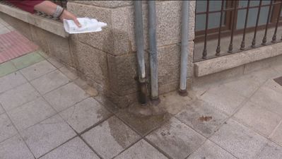 En Galapagar, recoger las heces de los perros por norma, limpiar los orines por civismo