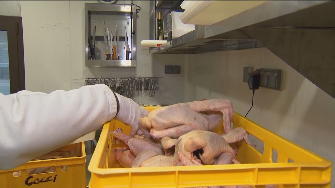 El sector avícola alerta de que en octubre podría haber desabastecimiento de pollo