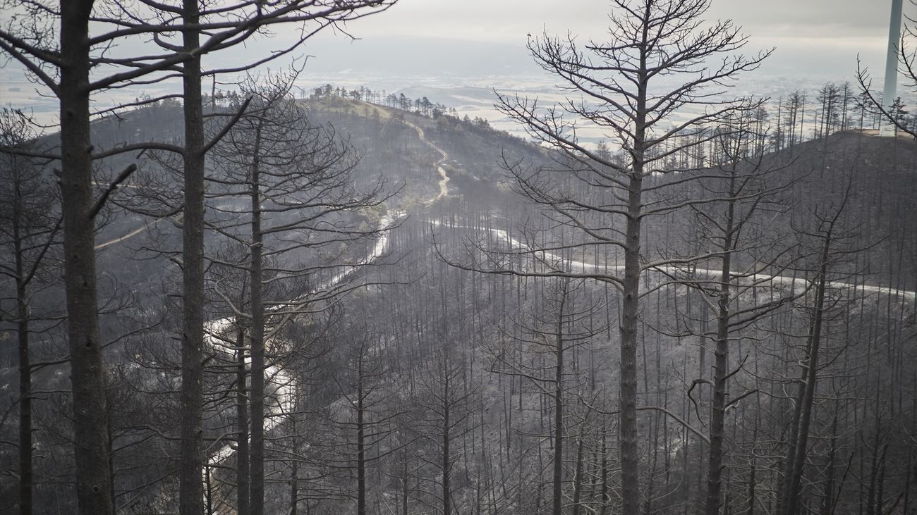 Preocupación por los incendios forestales de Navarra y Aragón