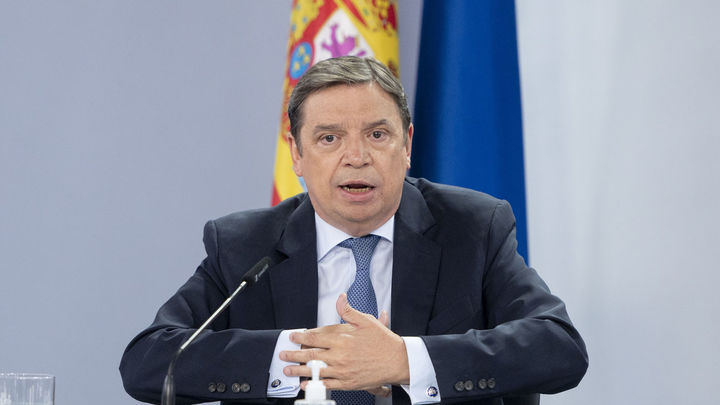 El ministro de Agricultura, Pesca y Alimentación, Luis Planas, / EUROPA PRESS