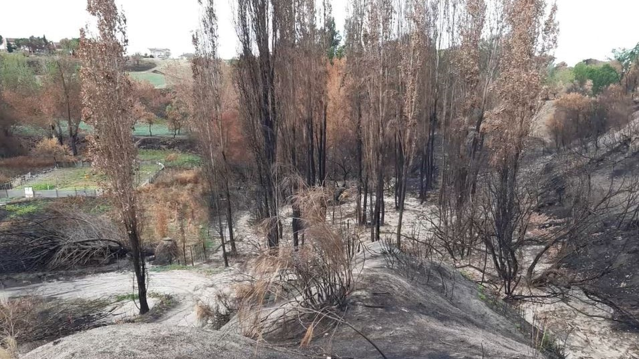 Tramo del Arroyo del Sotillo, en Batres, afectado por el incendio de agosto de 2021