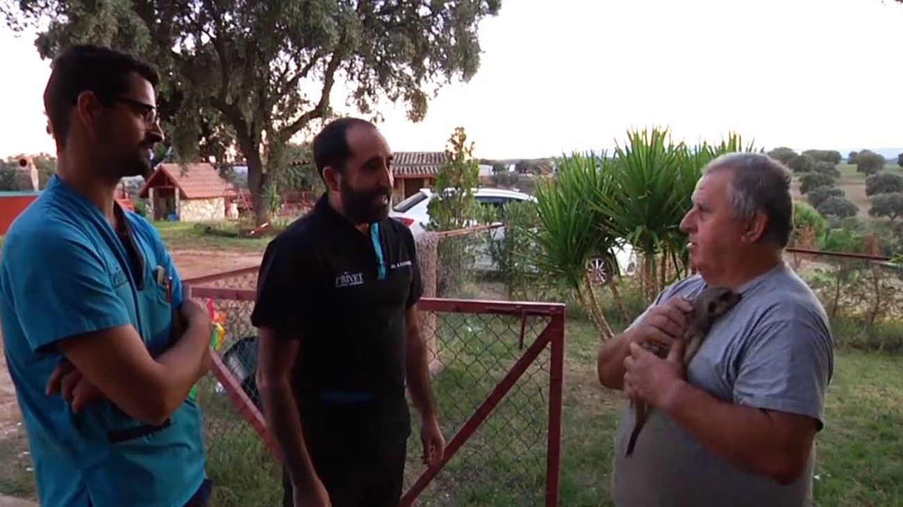 Hospital animal: Capítulo 3