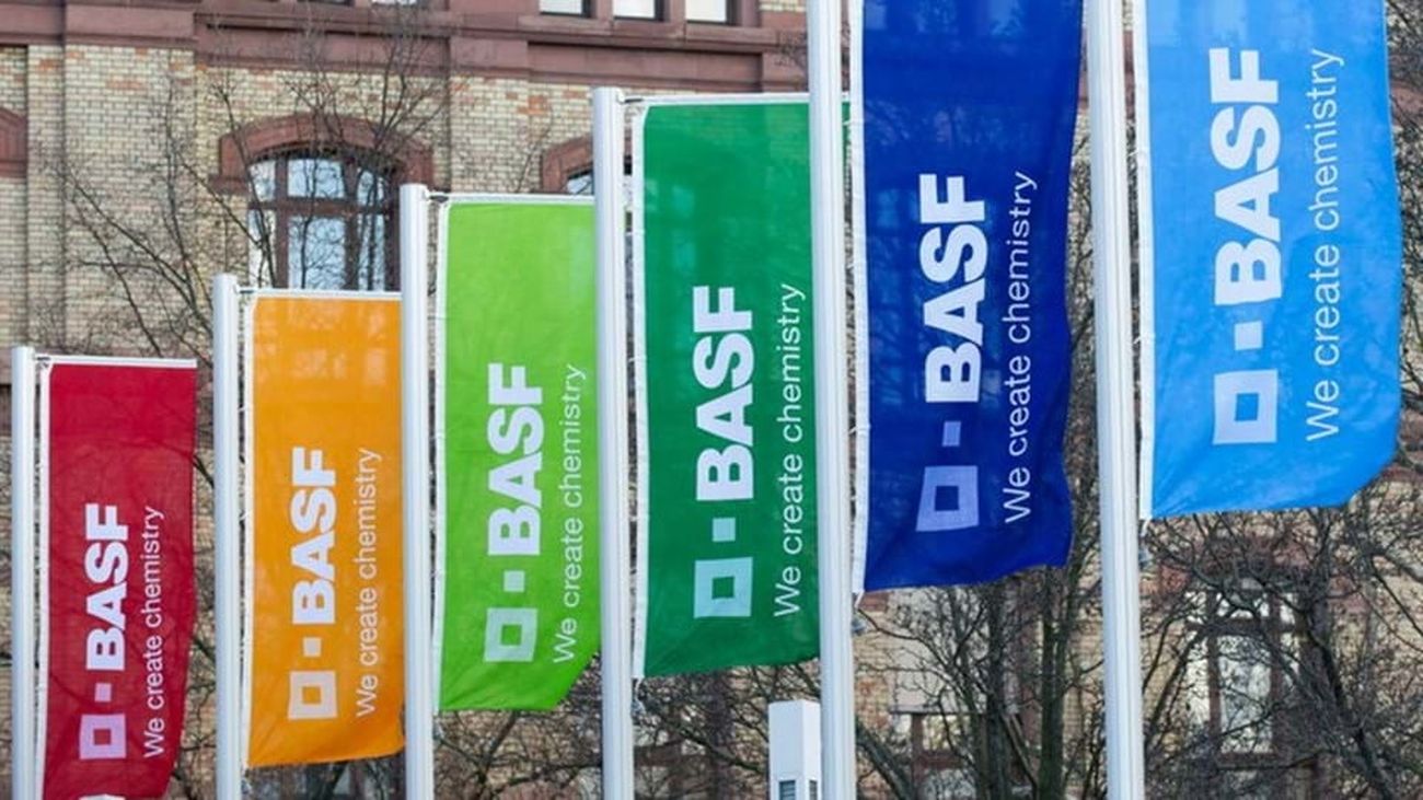 BASF creará 150 puestos de trabajo en su Digital Hub Madrid antes de final de año