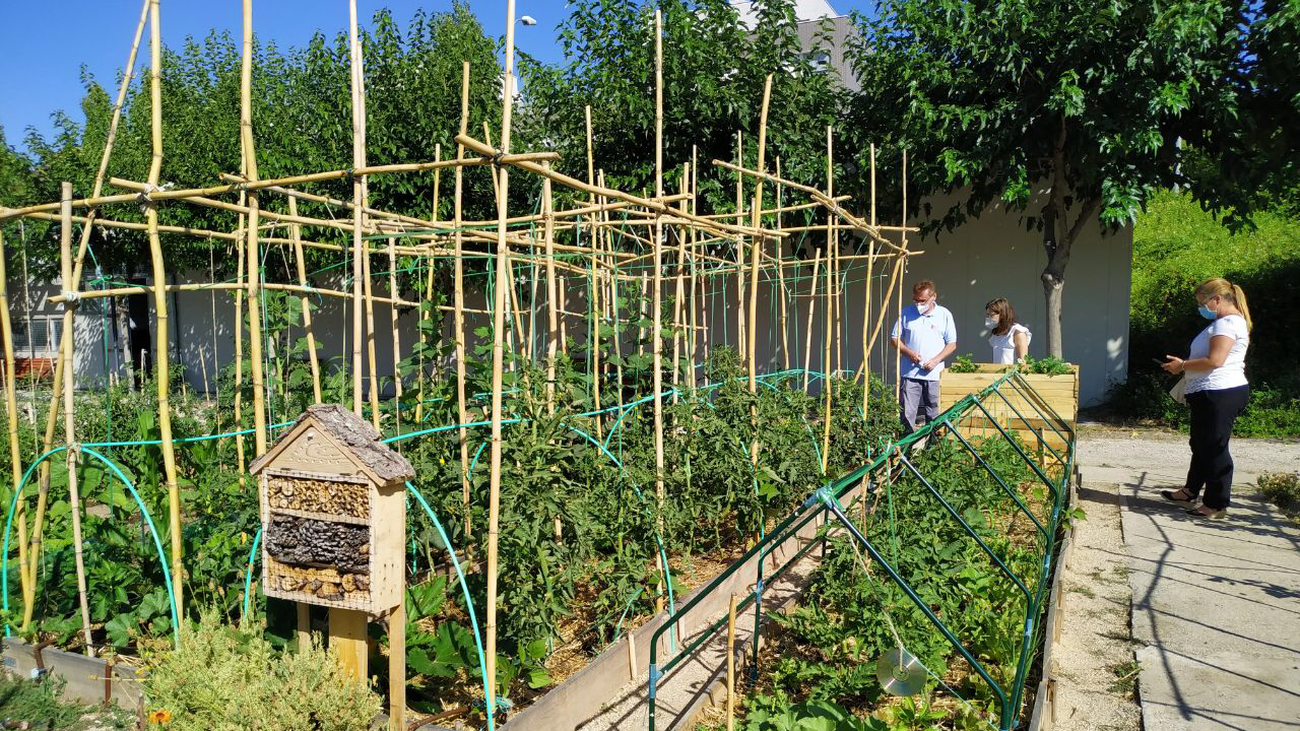 Medio centenar de parcelas en Sanse para huertos urbanos