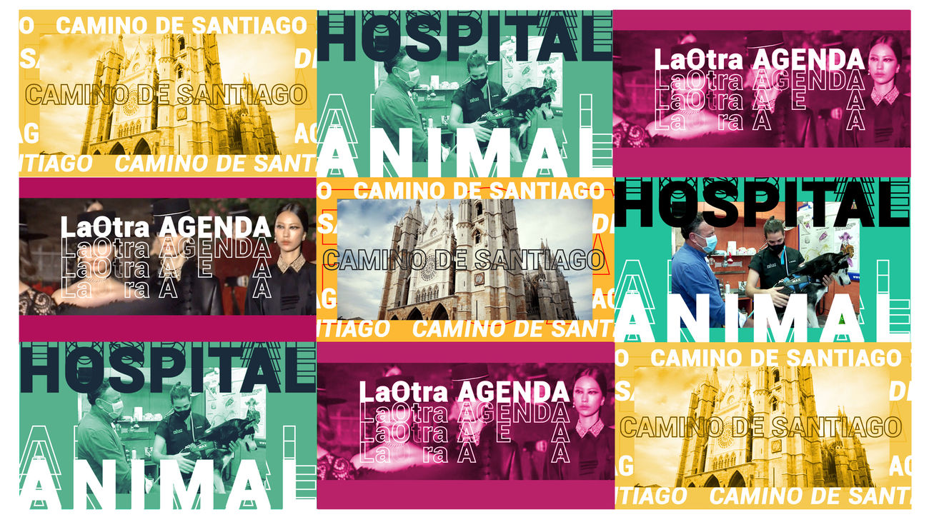 ¡Ya es verano en Telemadrid!