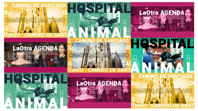 ¡Ya es verano en Telemadrid!