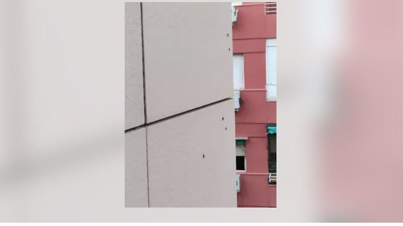 Hormigas en la fachada de un edificio en Madrid