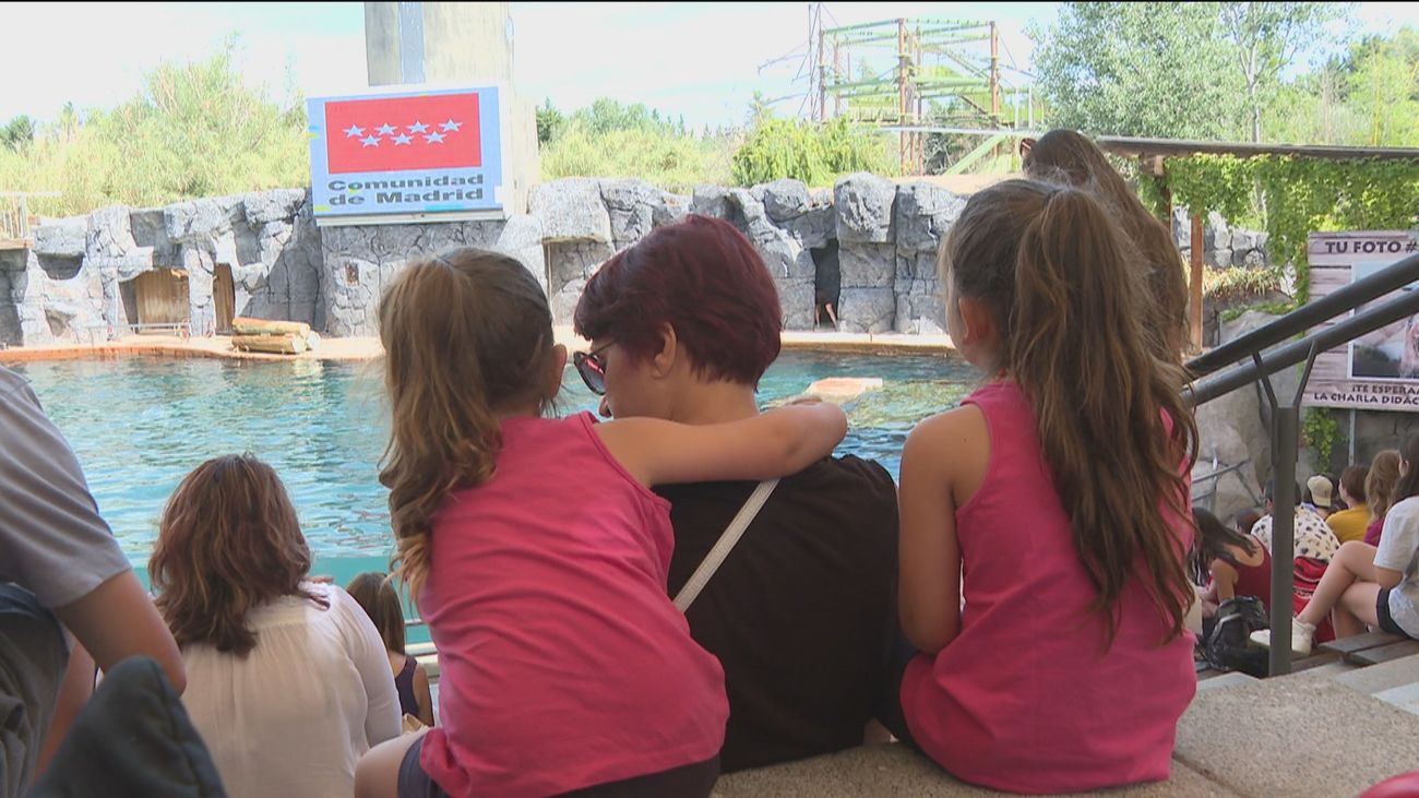 El acogimiento familiar en verano, vacaciones fuera del centro tutelar