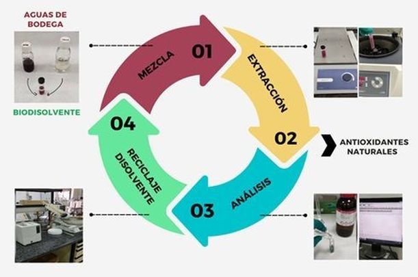Esquema de la bioeconomía circular generada por la aplicación de biodisolventes / UPM