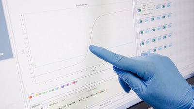 China hará un test de viruela del mono a  todos los viajeros llegados del extranjero