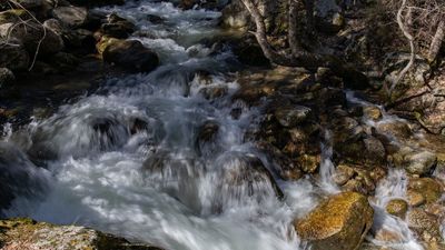 ¿Sigues en Madrid sin vacaciones? Mira estos planazos y escapadas sin salir de la región