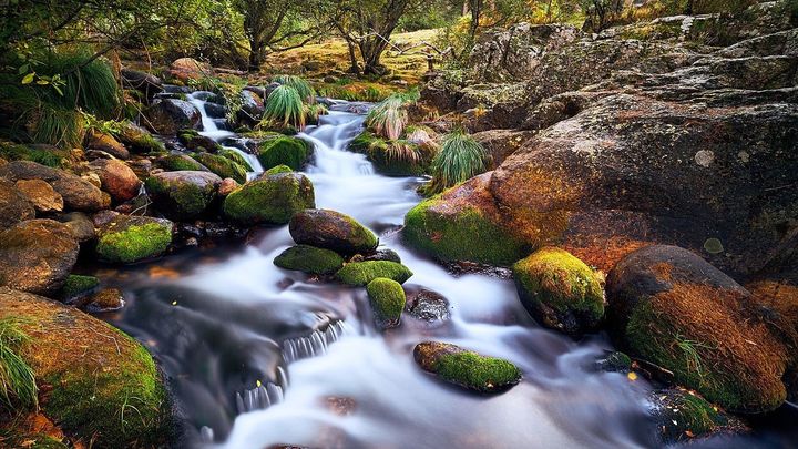 Rio Lozoya / Wikipedia