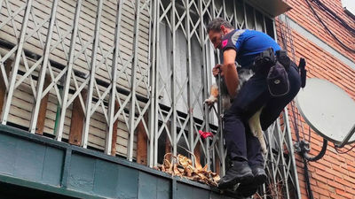 Rescatan a un perro a punto de caer de un segundo piso en Aluche
