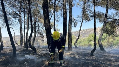 El incendio de Aranjuez ha afectado  a la Reserva Natural El Regalal-Mar de Ontígola