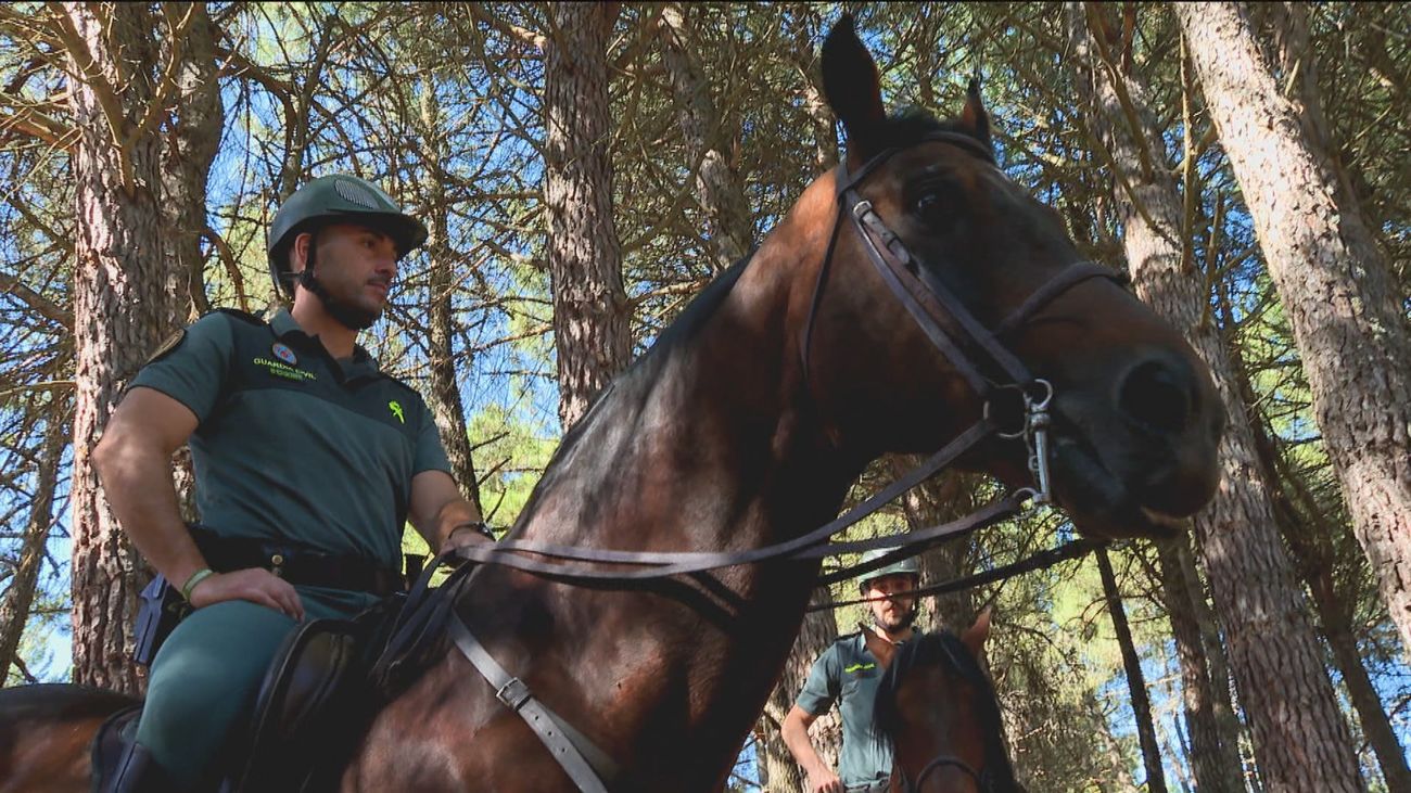 A pie, a caballo, en moto... así patrulla la Guardia Civil por la sierra de Madrid