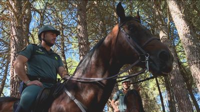A pie, a caballo, en moto... así patrulla la Guardia Civil por la sierra de Madrid