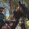 A pie, a caballo, en moto... así patrulla la Guardia Civil por la sierra de Madrid