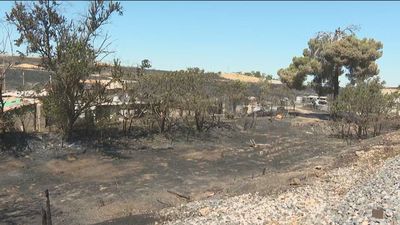 Los bomberos esperan dar por extinguido el incendio de Aranjuez este sábado