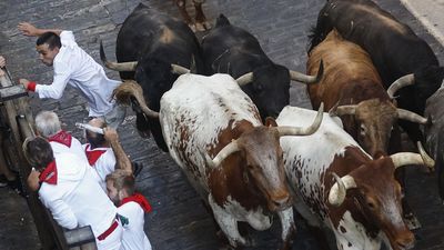 Cuarto encierro muy veloz con la ganadería La Palmosilla en San Fermín 2022