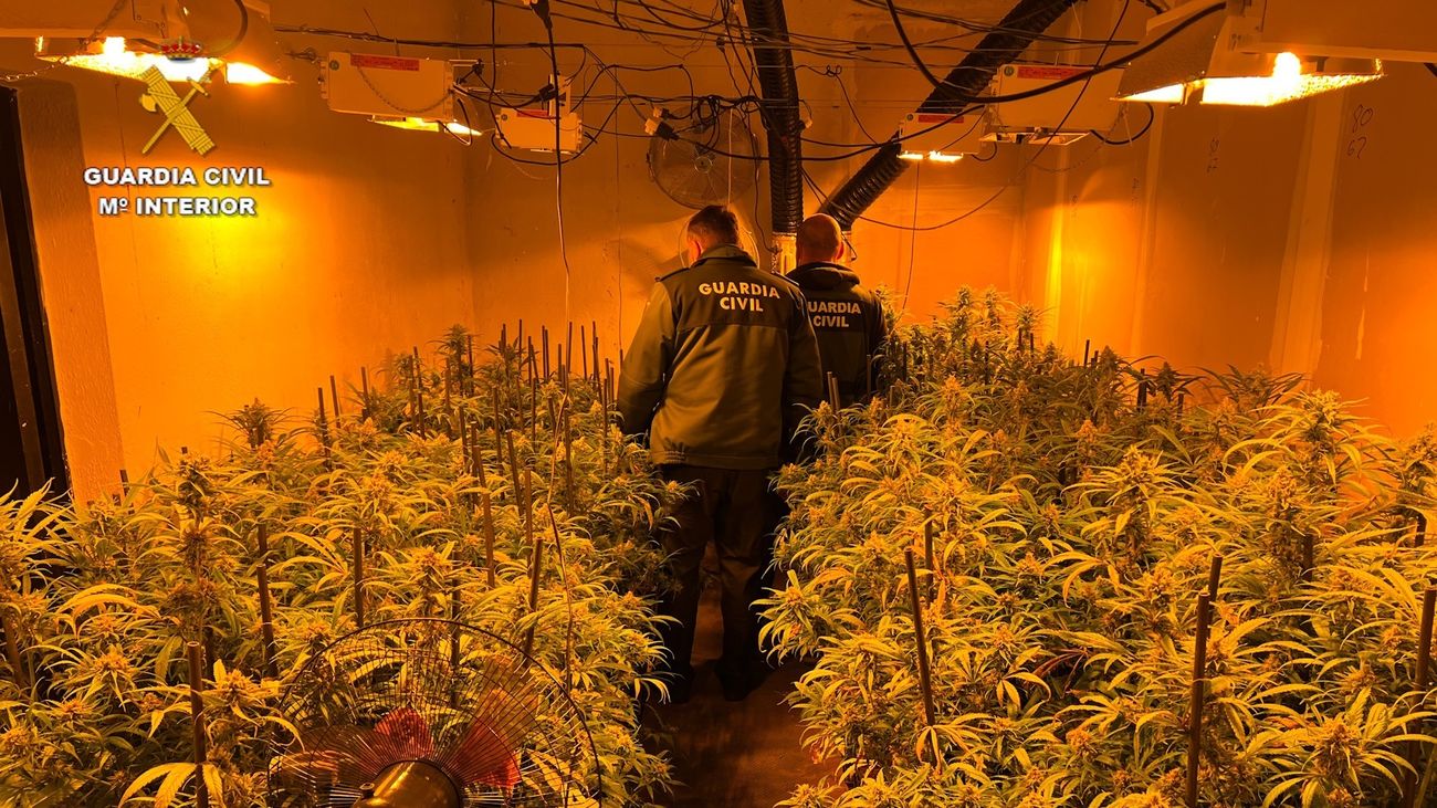 Guardia civil en plantación marihuana