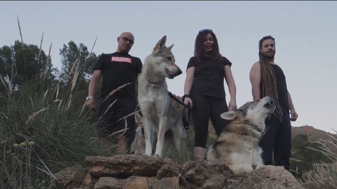 Paseando lobos por La Alpujarra de Almería