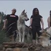 Paseando lobos por La Alpujarra de Almería