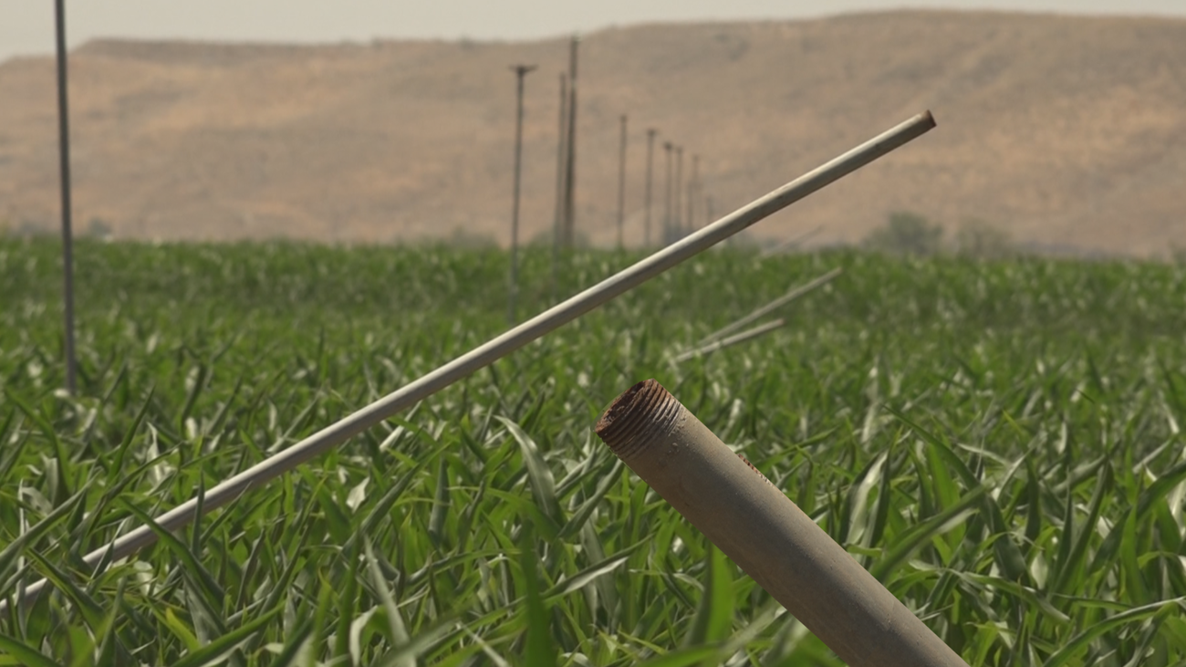 Roban unos 400 aspersores a un agricultor de Aranjuez