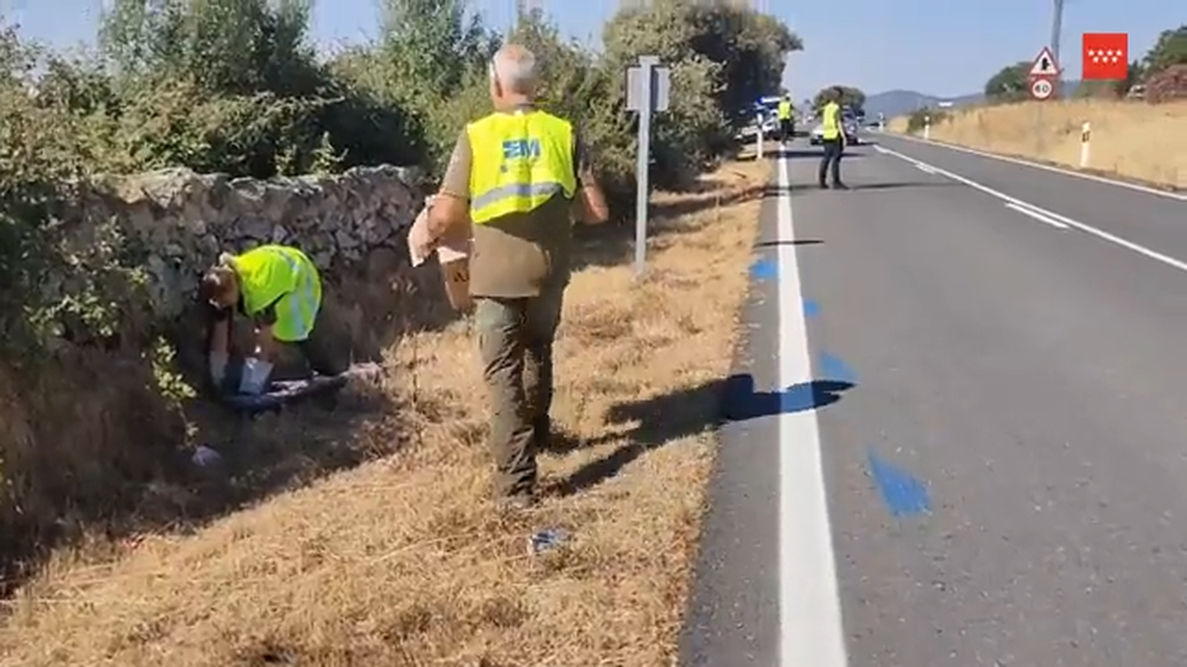 Rescatado un milano real en el arcén de una carretera de Soto del Real