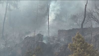 Medio millar de personas desalojadas en Collado Mediano por un incendio forestal
