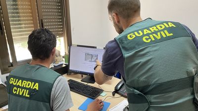 Detenidos seis miembros de una organización criminal por estafas con videoconsolas