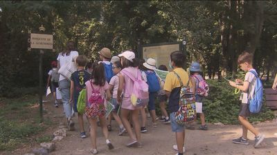 'Un verano en la Corte' , el campamento de verano para los más pequeños