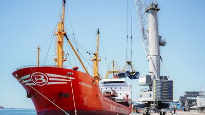 Ucrania logra dar salida a 16 barcos cargados de cereales por el río Danubio