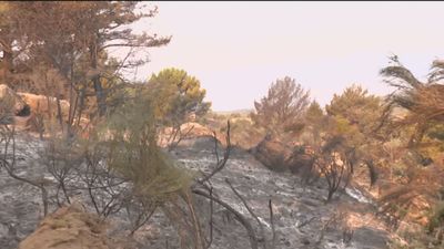 El incendio de Collado Mediano sigue sin estar controlado, aunque con una evolución favorable